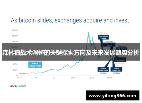森林狼战术调整的关键探索方向及未来发展趋势分析