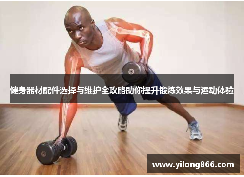 健身器材配件选择与维护全攻略助你提升锻炼效果与运动体验