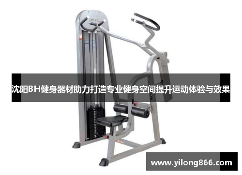 沈阳BH健身器材助力打造专业健身空间提升运动体验与效果